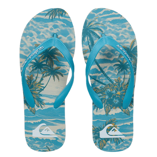 MOLOKAI ART 26